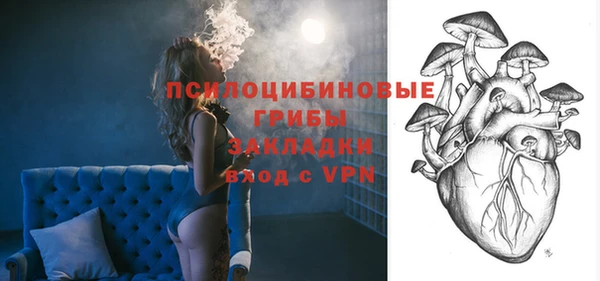 ECSTASY Алексин