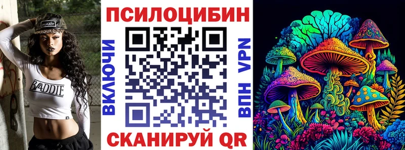 купить  сайты  Курчалой  даркнет формула  Галлюциногенные грибы прущие грибы 