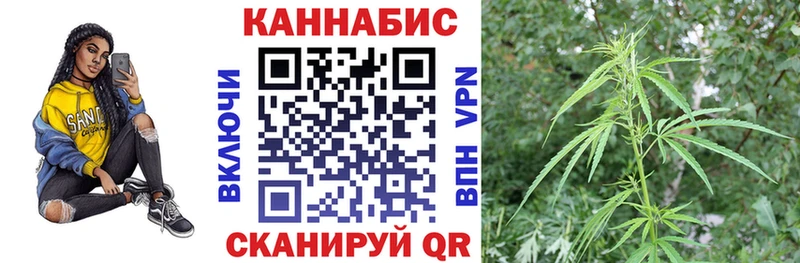 Канабис индика  Курчалой 
